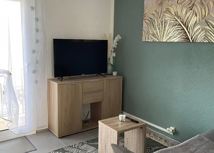 Διαμέρισμα 2 Pieces Vue Saint-Cyprien (Pyrenees-Orientales)